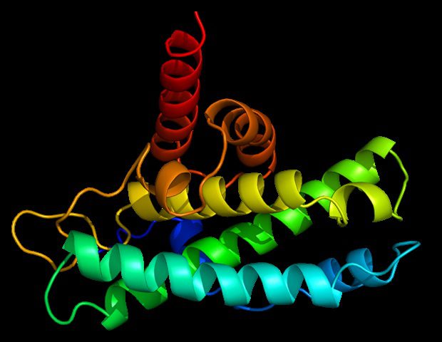 1753249574 Protein