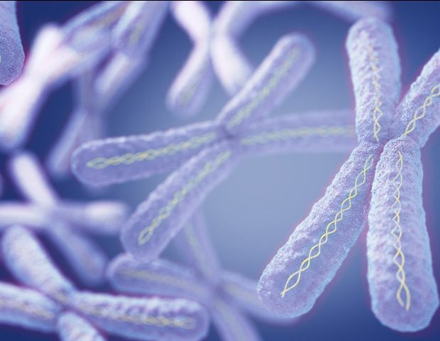 Chromosome2c X2c microscope. 3d illustration. Anatomy Insider 6d227ed624514887a5747f8229b16cad
