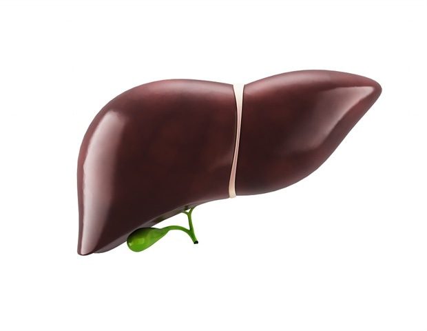 Digital illustration of liver in colour background Liya Graphics 0fff2ea2f60c4e71b4991068b748916f