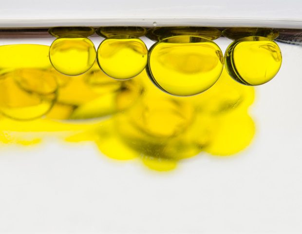 Lipids