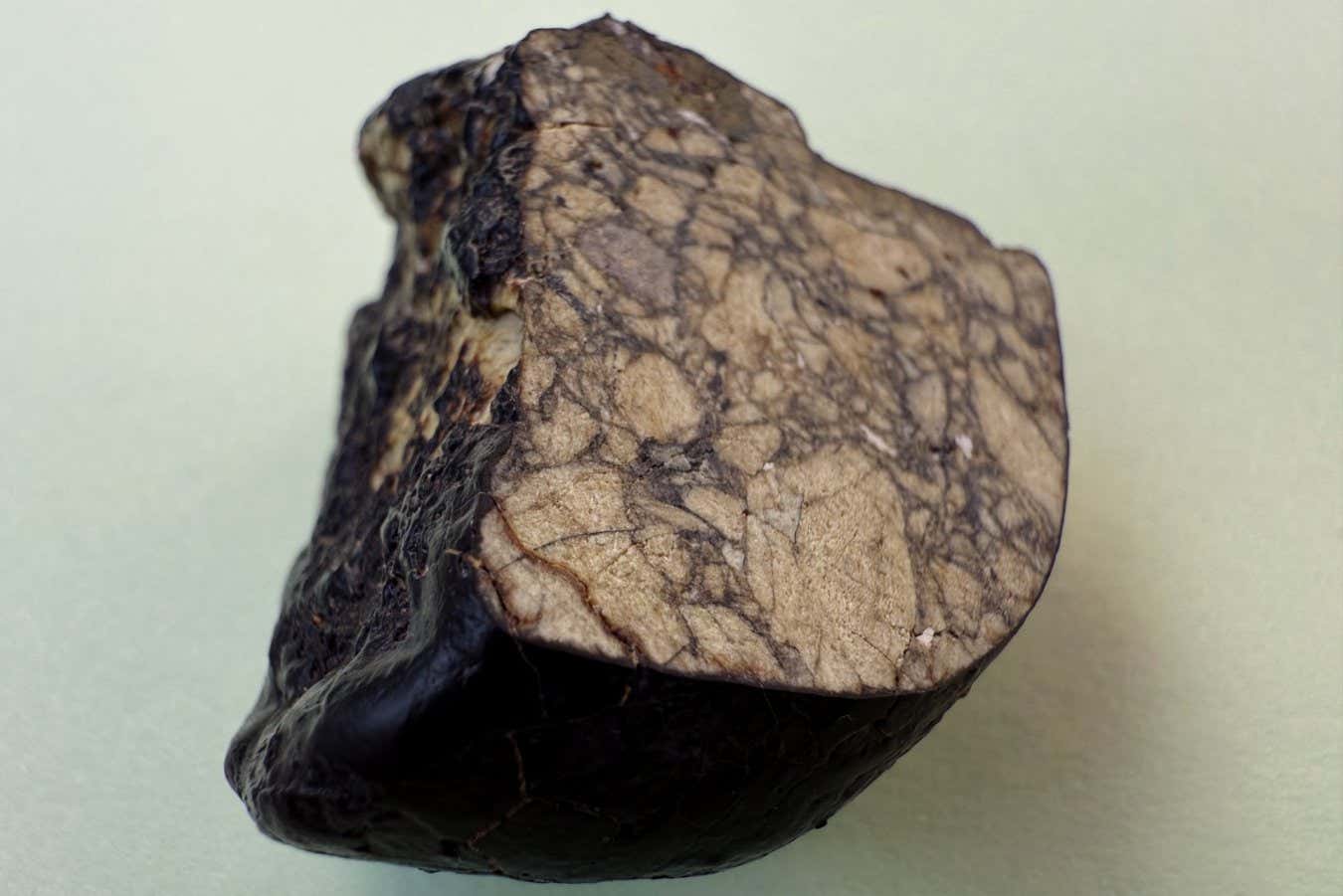 SEI 257814052