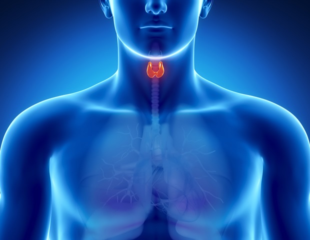 Thyroid