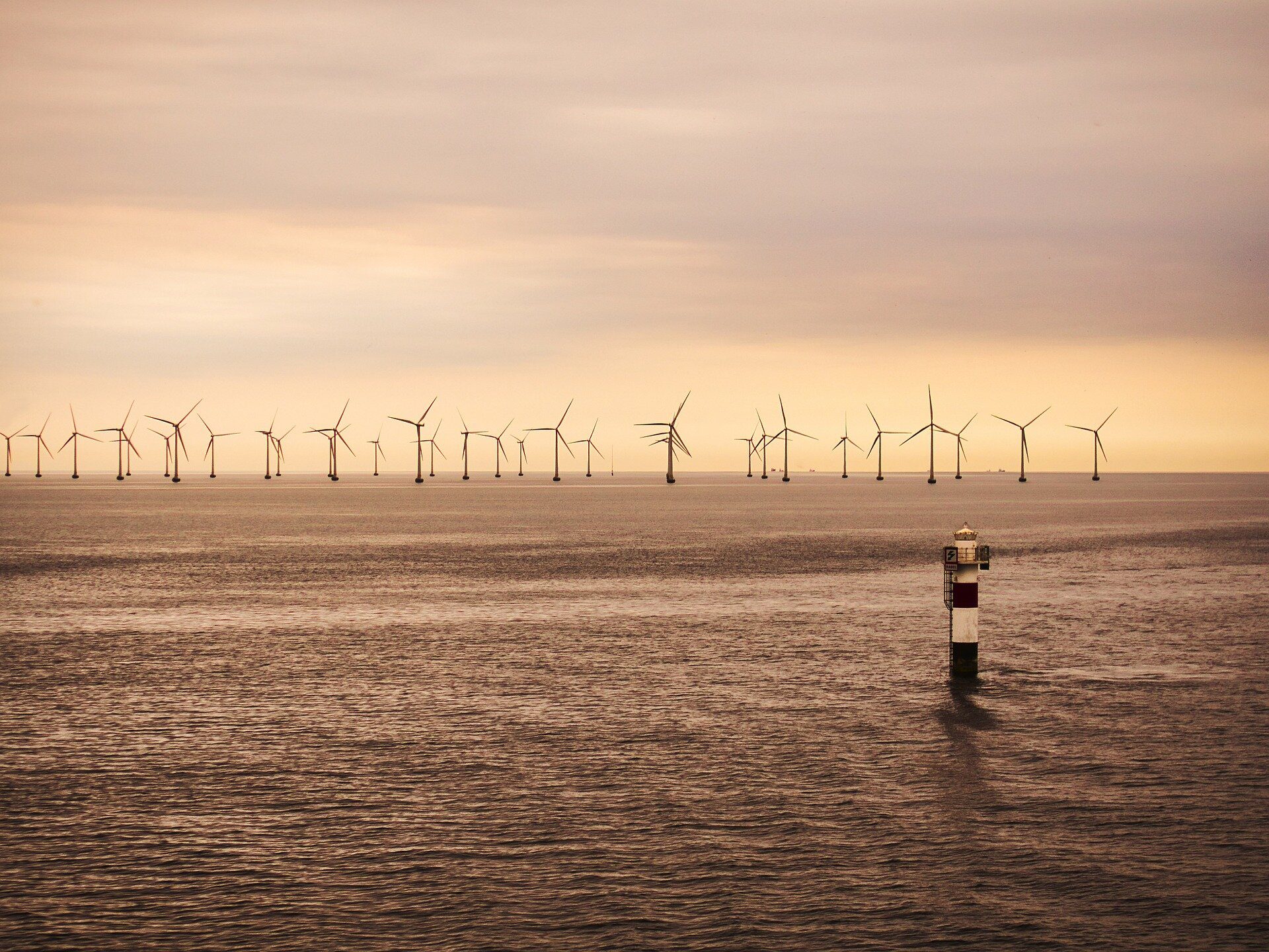 offshore wind power