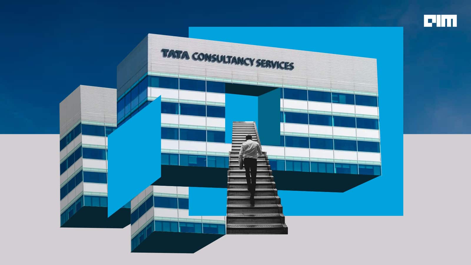 tcs fy23