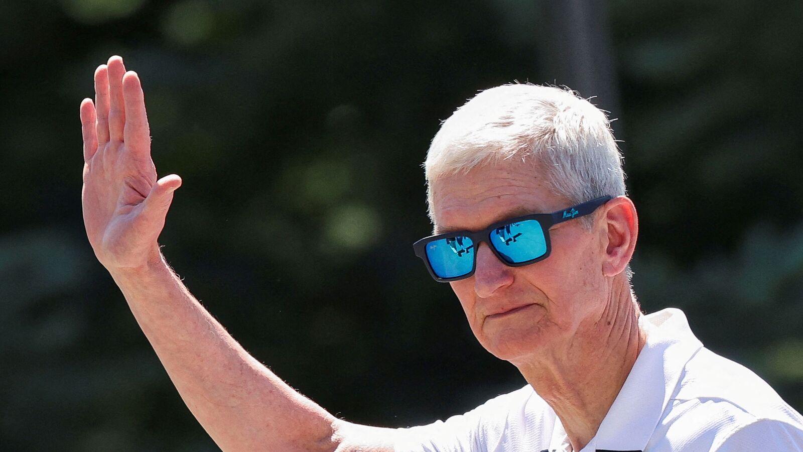 Tim Cook 1754013110293 1754013110530