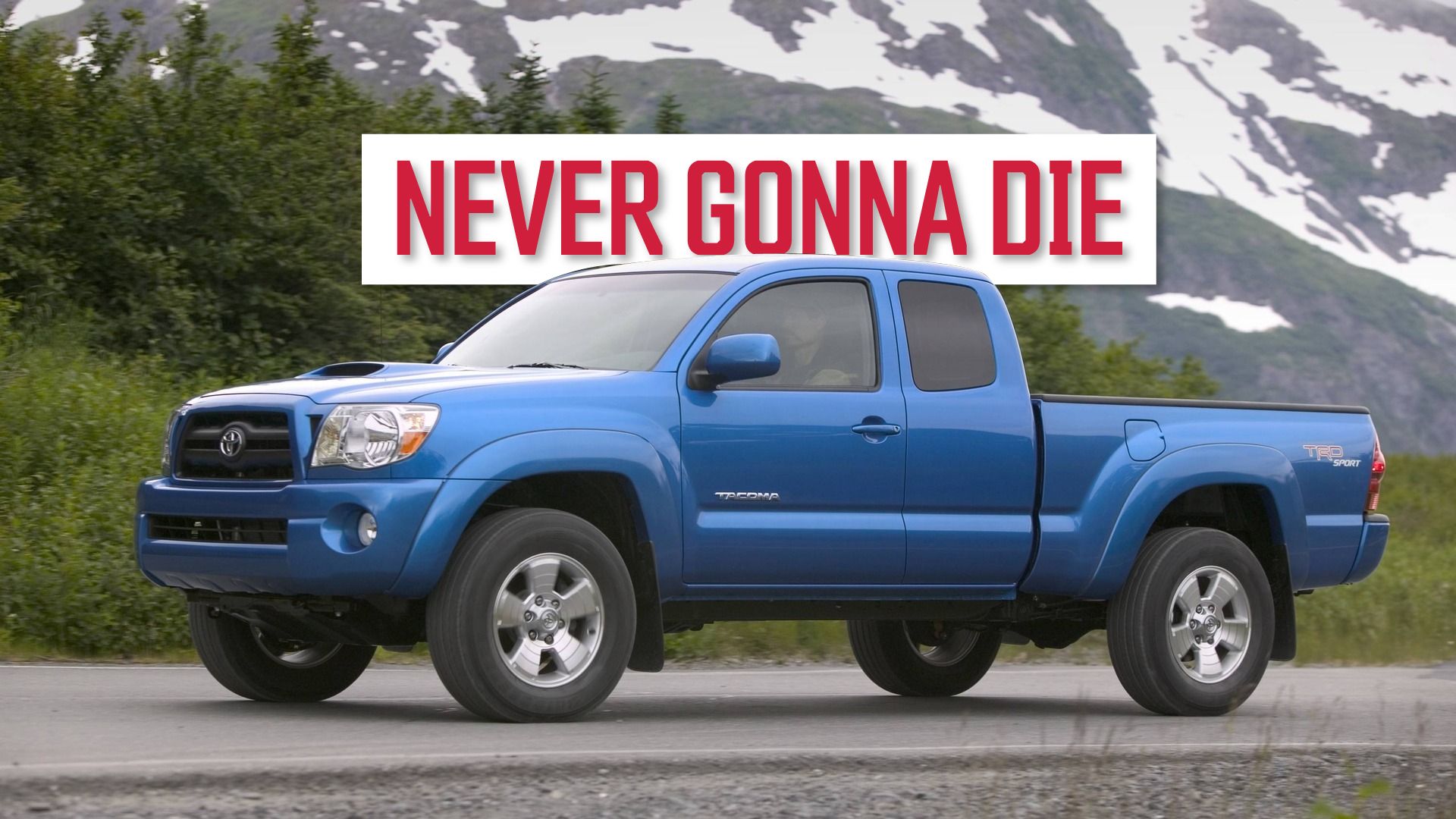 never gonna die