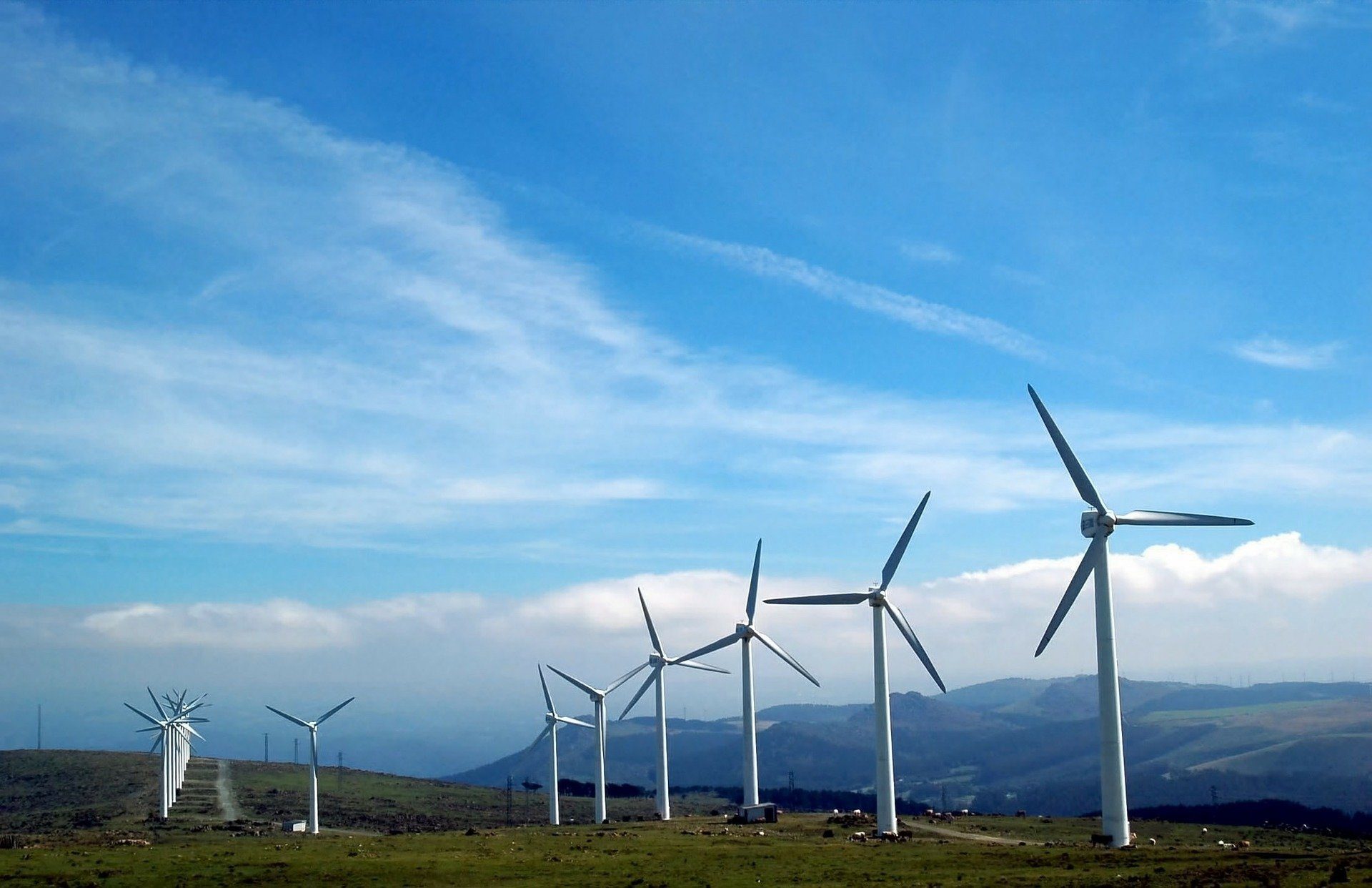 windfarm